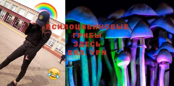 a pvp Инсар
