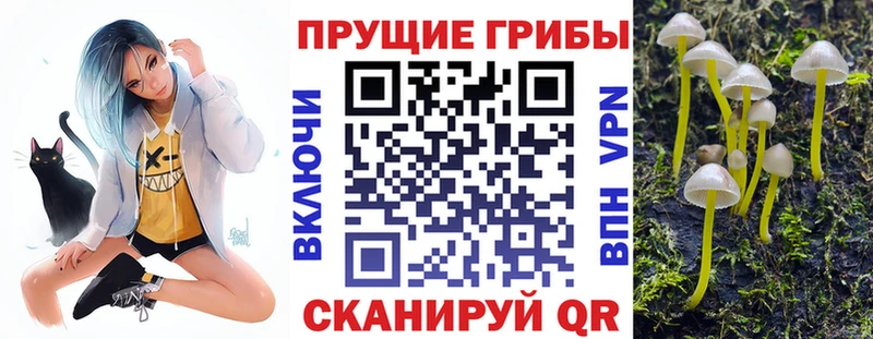 Купить закладки  Кологрив  Псилоцибиновые грибы Cubensis 