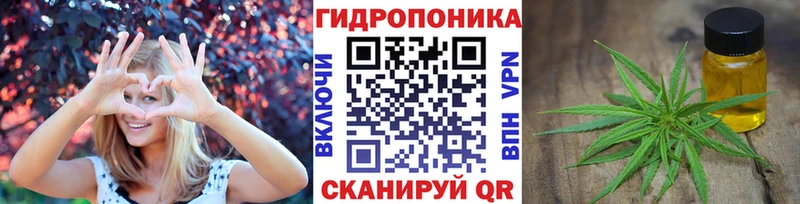Купить  Кологрив  Бошки Шишки MAZAR 